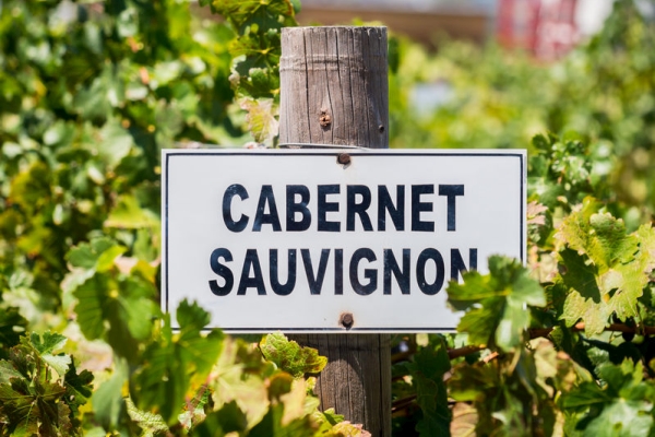 Cabernet Sauvignon – täidlane punane